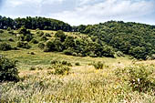 Nelle terre di Matilde - Sentiero da Valestra a Carpineti. 